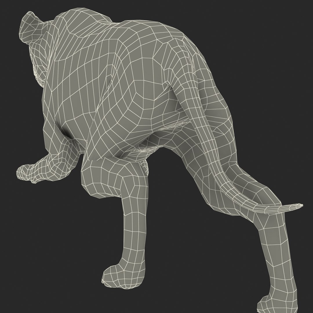 s hyena rigged animal https://p.turbosquid.com/ts-thumb/lJ/Xs835m/e2oGih9K/hyenarigged_173/jpg/1411139060/1920x1080/fit_q87/16d9658a74e5ca1367e341d1e2c530d4224582e3/hyenarigged_173.jpg