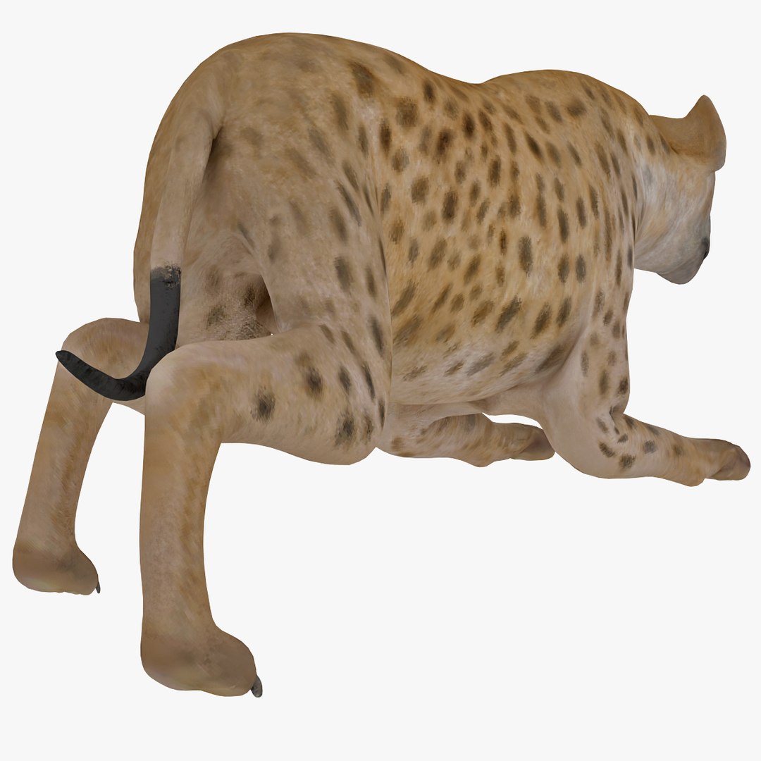 s hyena rigged animal https://p.turbosquid.com/ts-thumb/lJ/Xs835m/g93L63xf/hyenarigged_20/jpg/1411138718/1920x1080/fit_q87/2d04e54c6ca878f131c10c82219728a1a8e7fa62/hyenarigged_20.jpg