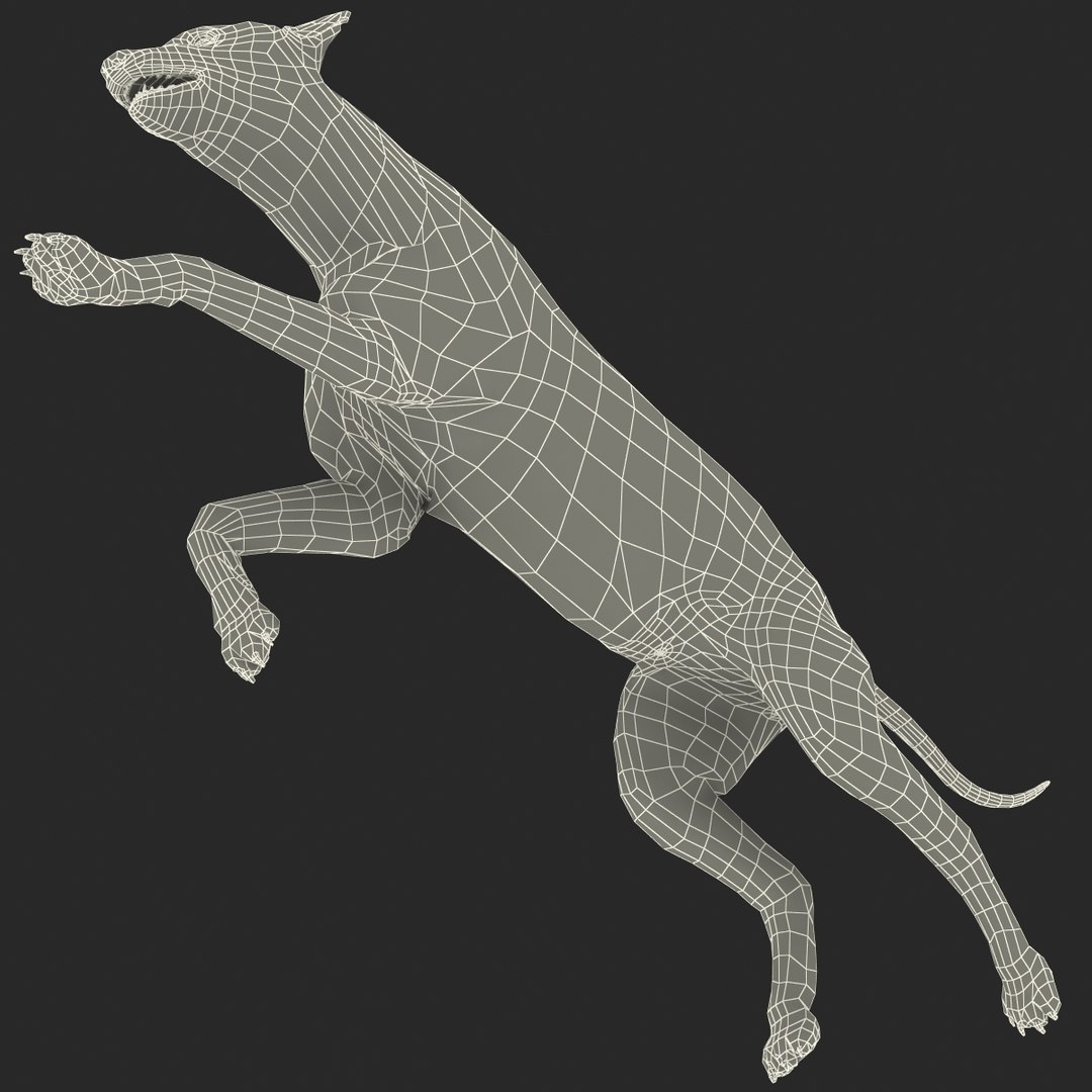 s hyena rigged animal https://p.turbosquid.com/ts-thumb/lJ/Xs835m/hCnPdI6M/hyenarigged_168/jpg/1411139092/1920x1080/fit_q87/2f269dab5e743ff98779e26a0032b706228f3013/hyenarigged_168.jpg