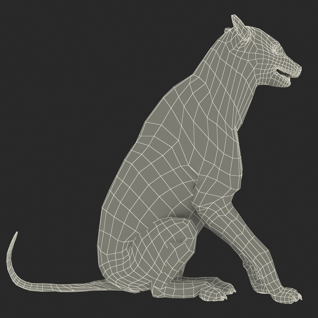 s hyena rigged animal https://p.turbosquid.com/ts-thumb/lJ/Xs835m/qH2Jbdb8/hyenarigged_171/jpg/1411139103/1920x1080/fit_q87/898ea9911c628a5444406dae50c1824d6166196c/hyenarigged_171.jpg