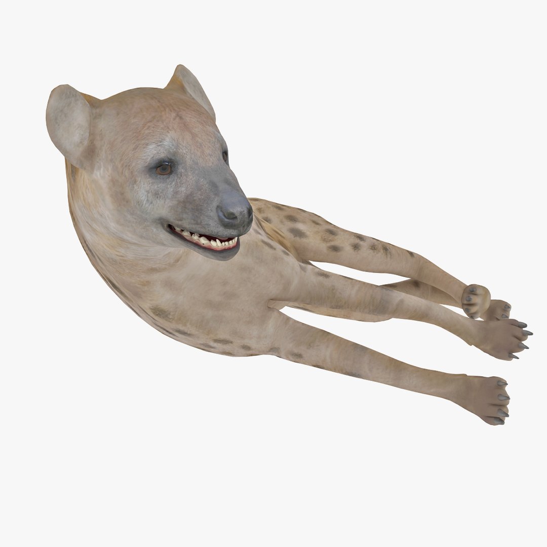 s hyena rigged animal https://p.turbosquid.com/ts-thumb/lJ/Xs835m/qnJG0QjW/hyenarigged_14/jpg/1411138703/1920x1080/fit_q87/a45ee605c678d856fee89bdf1249f015e0761531/hyenarigged_14.jpg