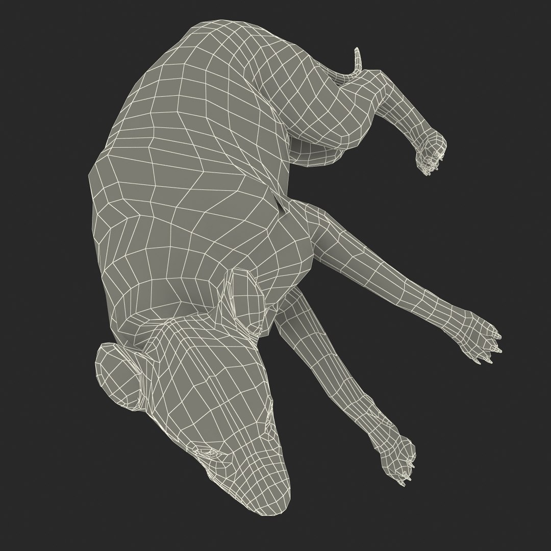 s hyena rigged animal https://p.turbosquid.com/ts-thumb/lJ/Xs835m/tho0P47n/hyenarigged_172/jpg/1411139106/1920x1080/fit_q87/74659af184e2f0ef1931bdb5570c876550c68668/hyenarigged_172.jpg