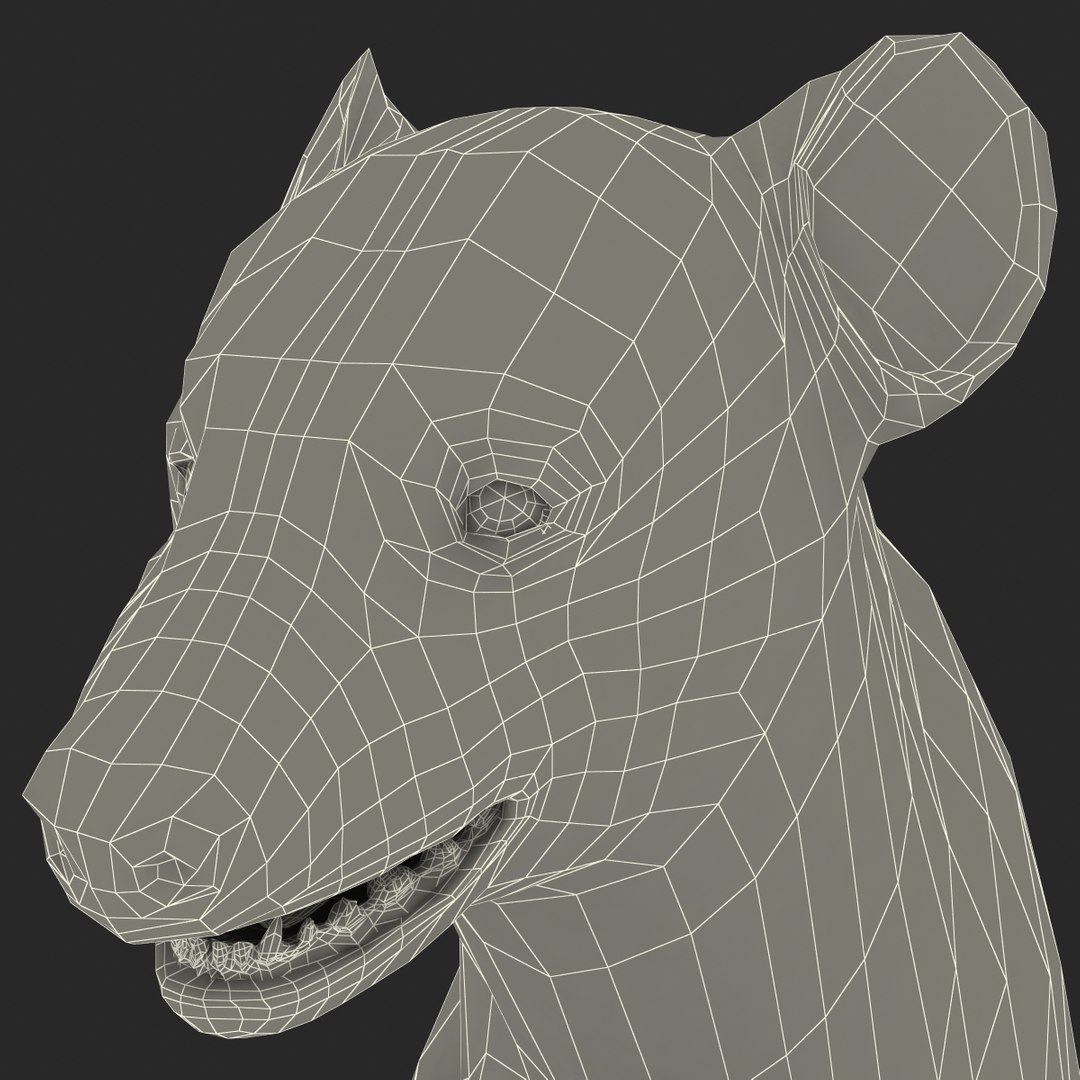 s hyena rigged animal https://p.turbosquid.com/ts-thumb/lJ/Xs835m/uPWnimve/hyenarigged_169/jpg/1411139094/1920x1080/fit_q87/6d297976be0123dc1ac99b92bcf29820fcc4bcfb/hyenarigged_169.jpg