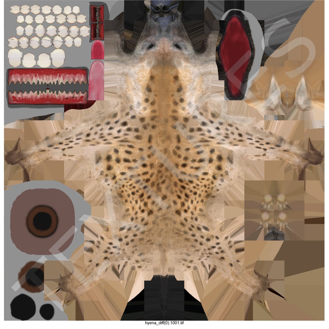s hyena rigged animal https://p.turbosquid.com/ts-thumb/lJ/Xs835m/xCFA4Dhg/hyenarigged_175/jpg/1411139115/1920x1080/fit_q87/dad2c4dfcc3b9091083b59ad1c840bf4ddf48dc0/hyenarigged_175.jpg