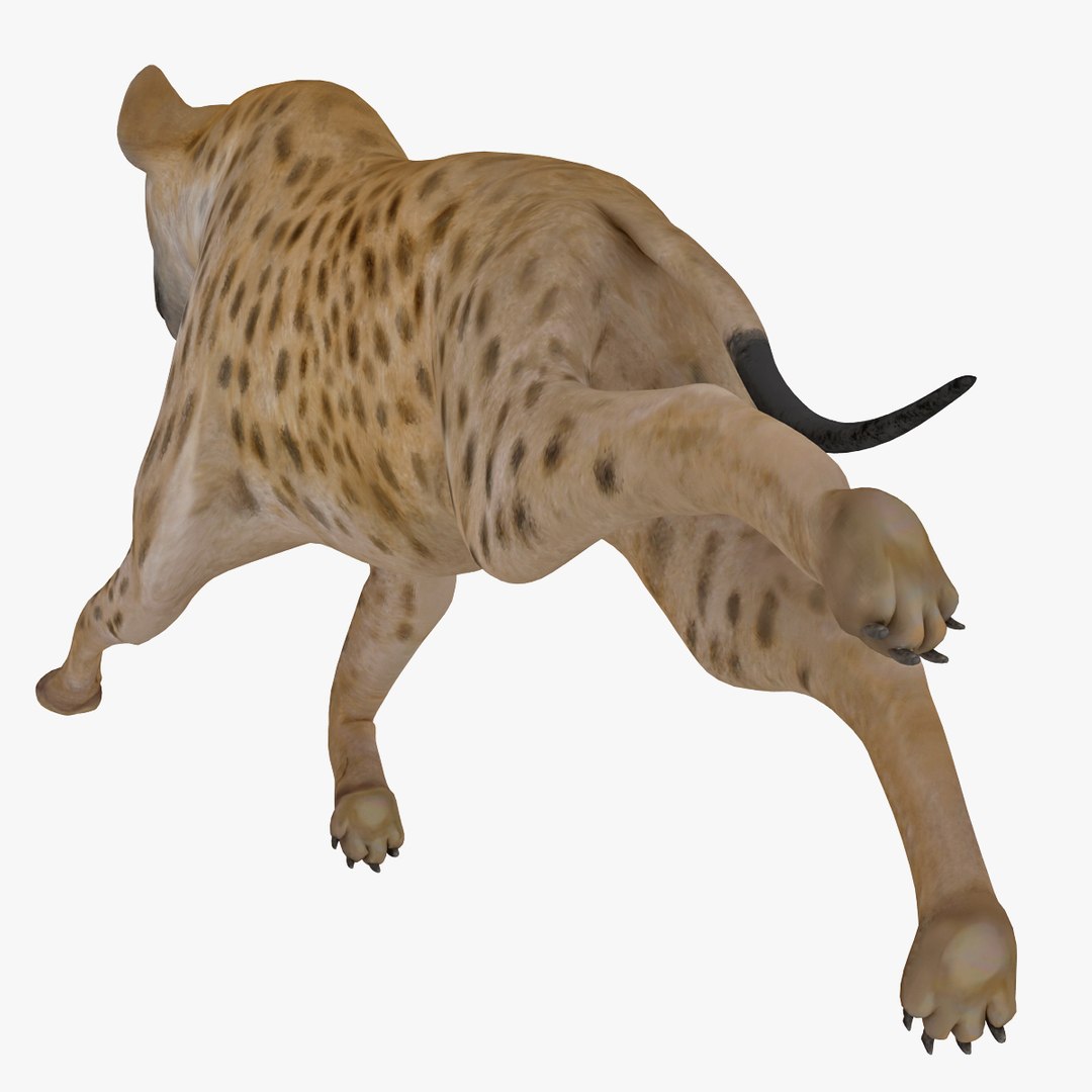 s hyena rigged animal https://p.turbosquid.com/ts-thumb/lJ/Xs835m/xbuEqb4N/hyenarigged_8/jpg/1411138688/1920x1080/fit_q87/879170c10e2f5567b08d3f55a22080072586d2dd/hyenarigged_8.jpg