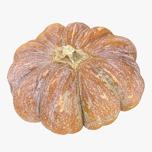 Realistic Pumpkin 3d scan in highpoly