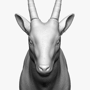 Saola