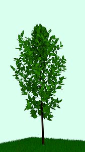 3d rigged realistic model