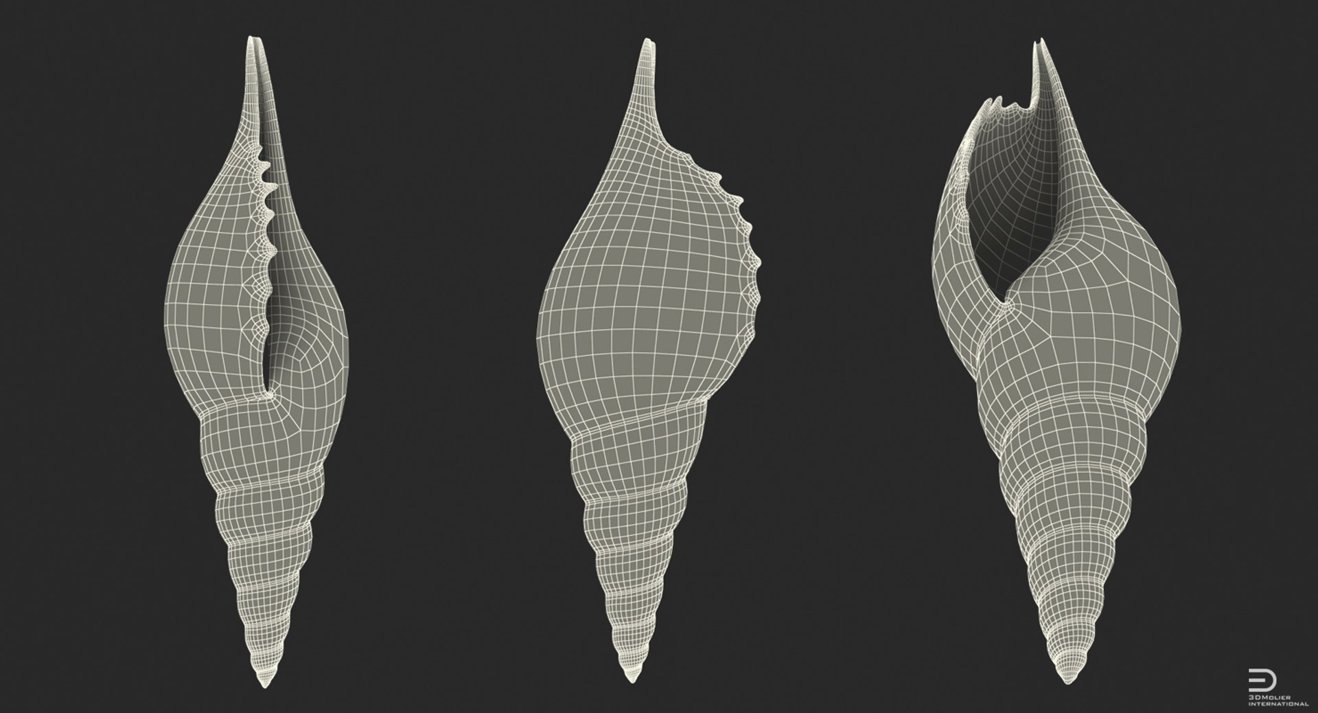 seashell sea shell 3d 3ds https://p.turbosquid.com/ts-thumb/lJ/vvEqjn/2TUMemL6/seashell3dsmodel008/jpg/1500898366/1920x1080/fit_q87/40c37070ba5beb3298ce9b698372ecbad6ffcb40/seashell3dsmodel008.jpg