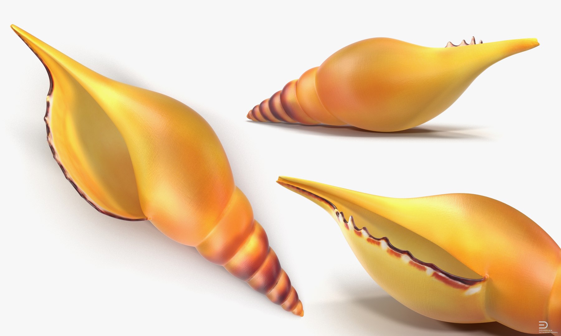 seashell sea shell 3d 3ds https://p.turbosquid.com/ts-thumb/lJ/vvEqjn/WmGq7P92/seashell3dsmodel004/jpg/1500898366/1920x1080/fit_q87/485d1ebbca641a5cbf3a5ba0be0f4141b2d2e7f7/seashell3dsmodel004.jpg