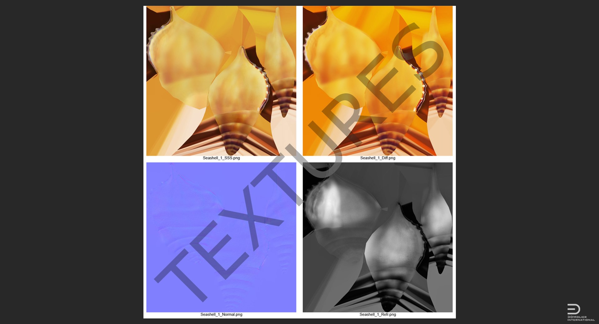 seashell sea shell 3d 3ds https://p.turbosquid.com/ts-thumb/lJ/vvEqjn/Y3Ubu3Y4/seashell3dsmodel010/jpg/1500898367/1920x1080/fit_q87/e1e5f64756a10a1433123b0d0d01358372bc8c0e/seashell3dsmodel010.jpg