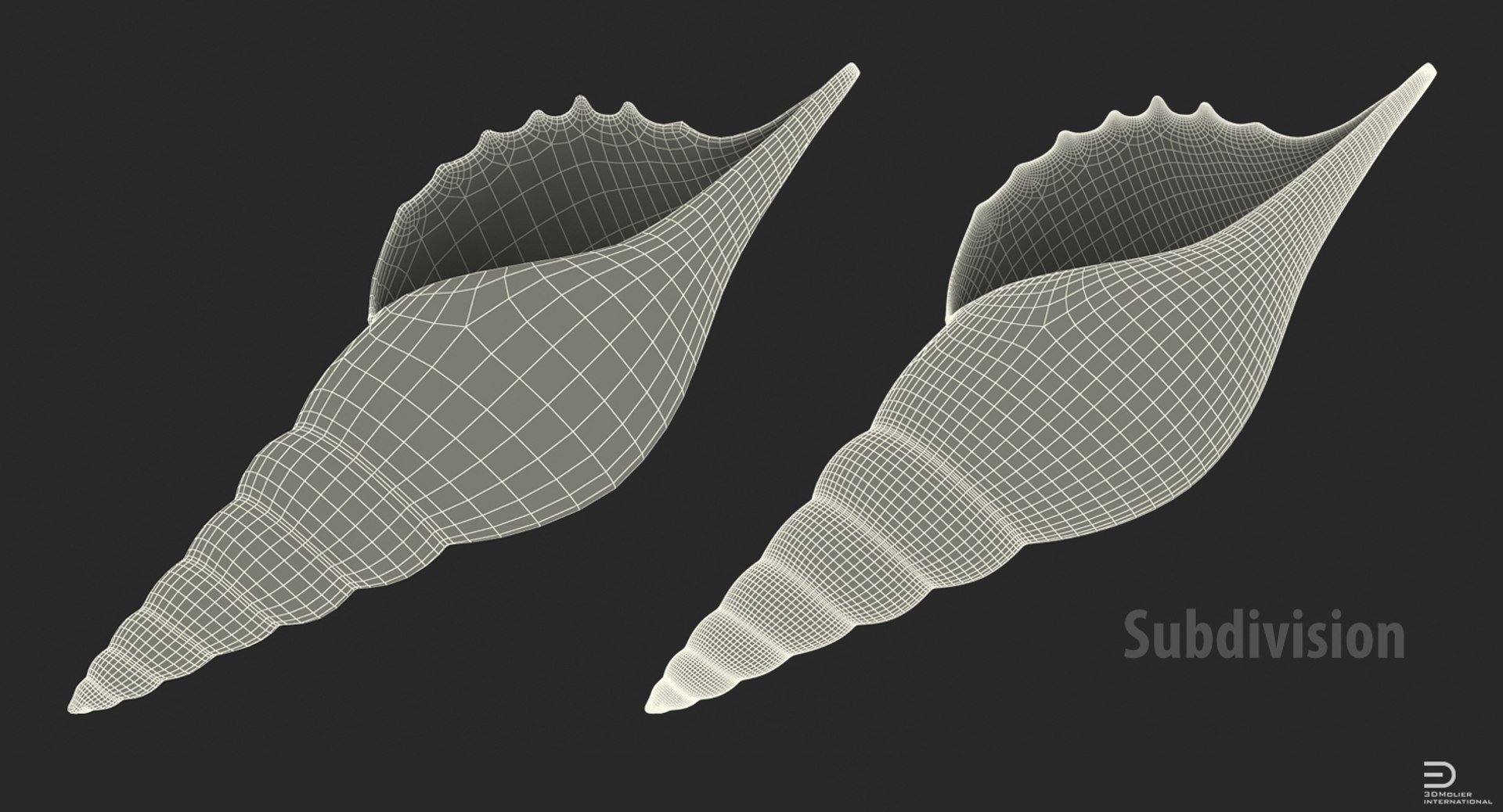 seashell sea shell 3d 3ds https://p.turbosquid.com/ts-thumb/lJ/vvEqjn/sbjQuuba/seashell3dsmodel006/jpg/1500898366/1920x1080/fit_q87/fca6a49f4c79da37fdd4f966c96de40cf39f9a7a/seashell3dsmodel006.jpg