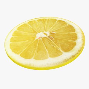 3D Lemon round slice