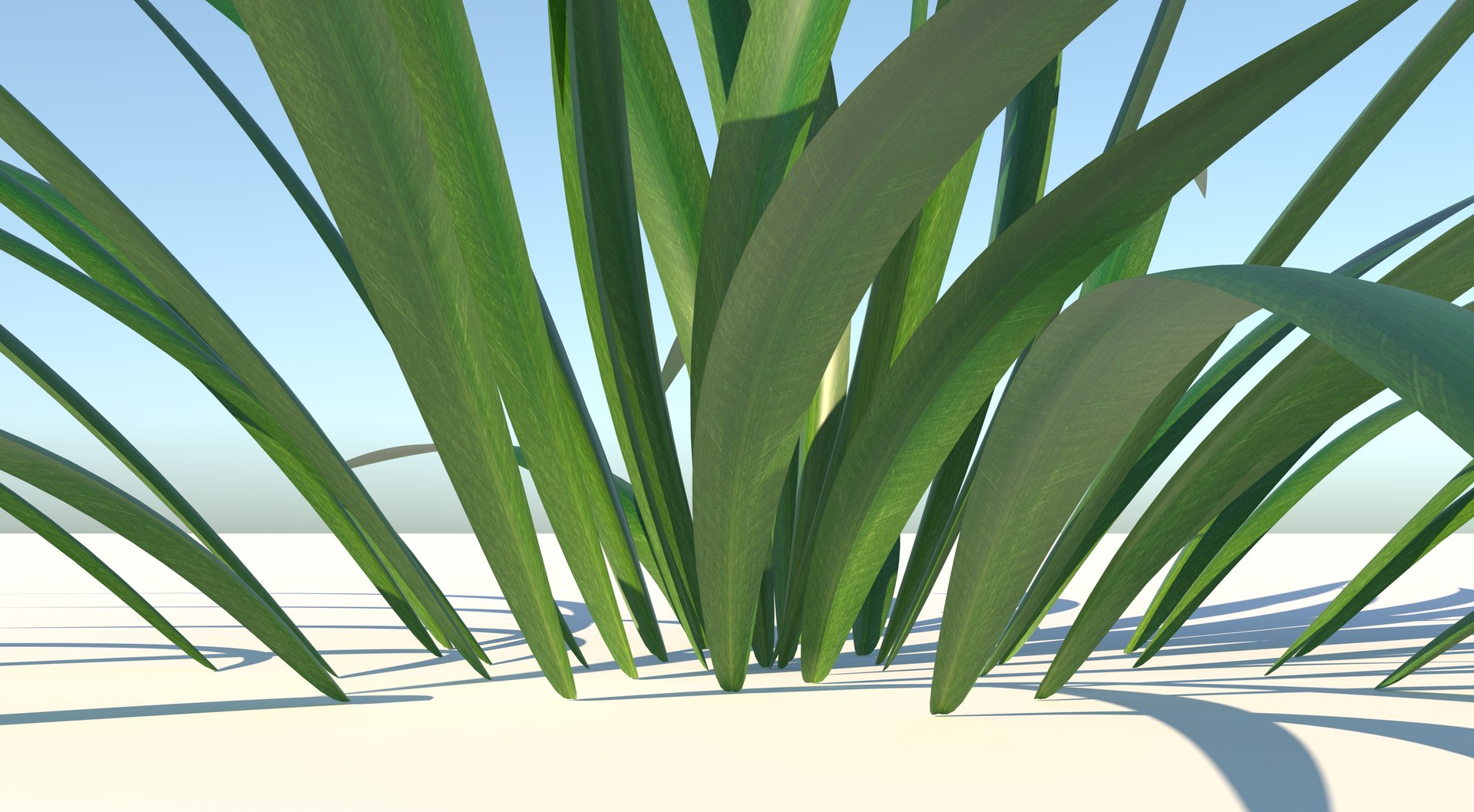 3D Grass Model - TurboSquid 1717314