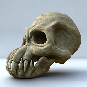 fantasy monster skull max