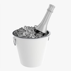 Champagne bottle in bucket