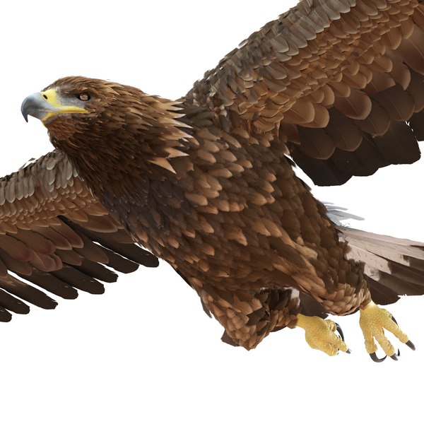 3d golden eagle pose 3 model