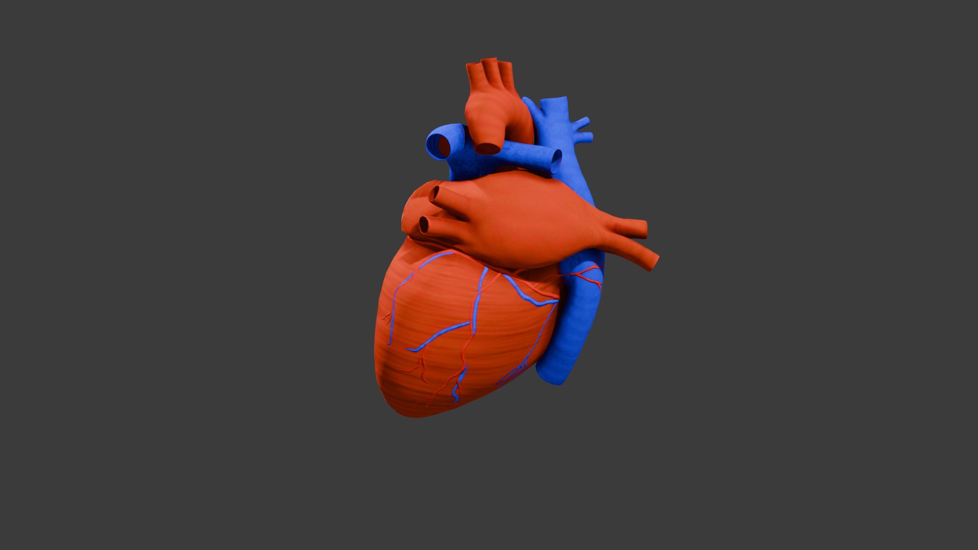 Heart Animation - Human Heart Beating 3D model https://p.turbosquid.com/ts-thumb/lK/oXwC05/4p/thumn..search/png/1754576059/1920x1080/fit_q87/329419049781079bc8e21bf6caa25855c8b56f27/thumn..search.jpg
