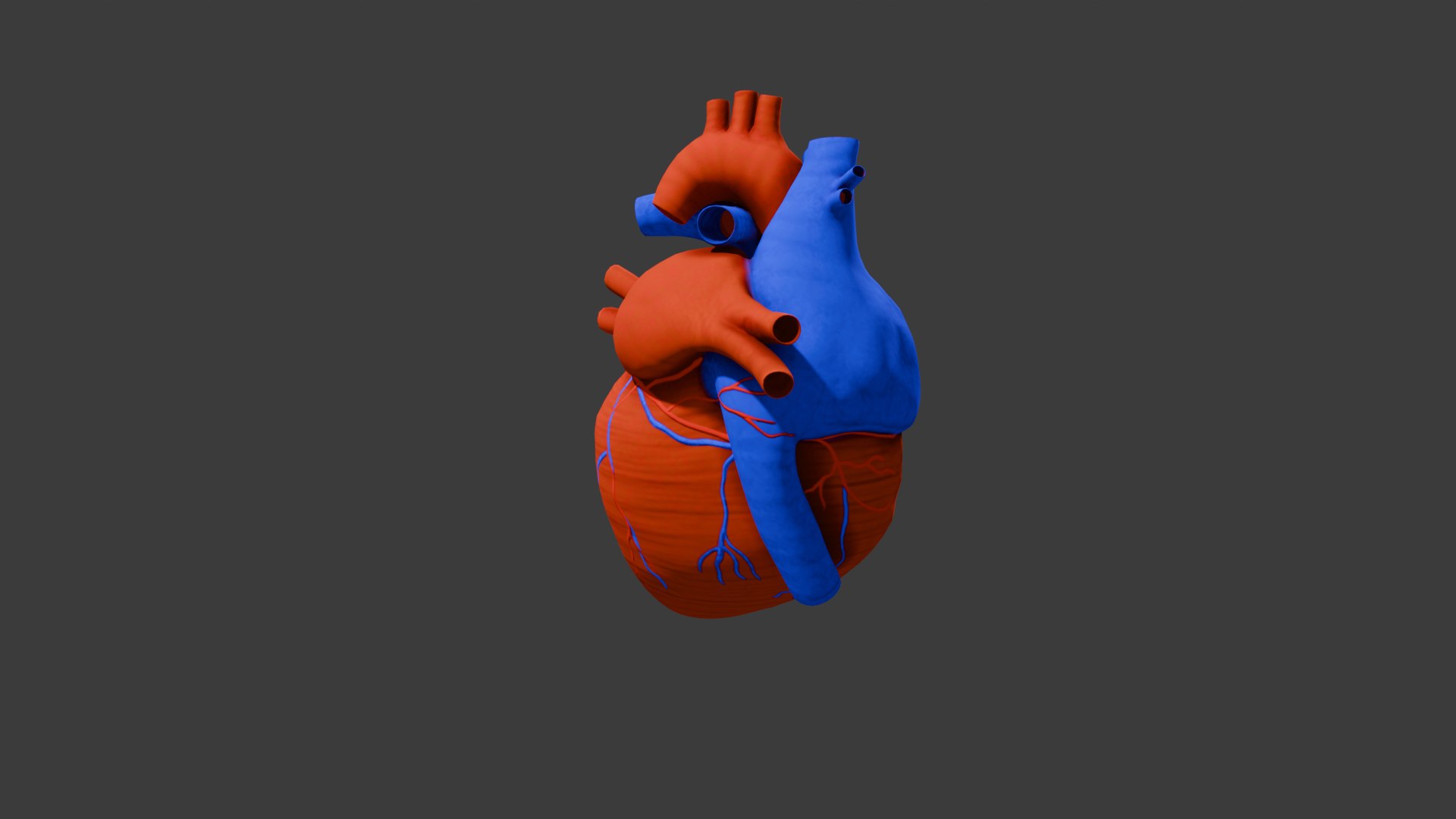 Heart Animation - Human Heart Beating 3D model https://p.turbosquid.com/ts-thumb/lK/oXwC05/LI/samamat/png/1754576042/1920x1080/fit_q87/675f6767383c13cbf7a18718170f950b1384dc22/samamat.jpg