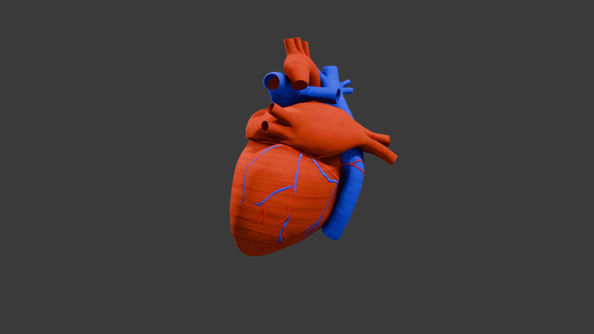 Heart Animation - Human Heart Beating 3D model https://p.turbosquid.com/ts-thumb/lK/oXwC05/au/front/png/1754576022/1920x1080/fit_q87/487f73907cdab1b0e6a7c860d903c84fcac61c1f/front.jpg