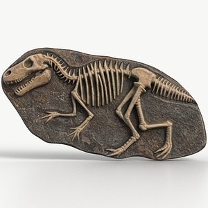 Dinosaur Fossil 007 Textured 3D model