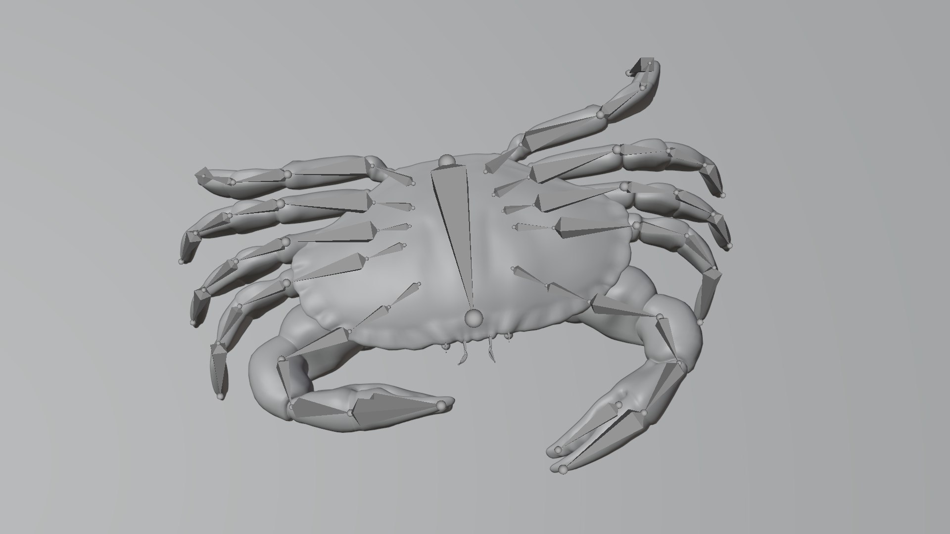 Edible crab rigged 3D model - TurboSquid 1702548