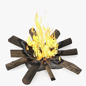 Campfire with Burning Logs