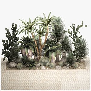Collection of tropical desert plants 1108 3D model