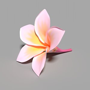 kamboja flower frangipani 3D