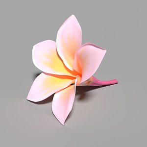 Frangipani Flower (Kamboja)
