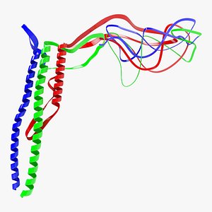 Protein structure 3D