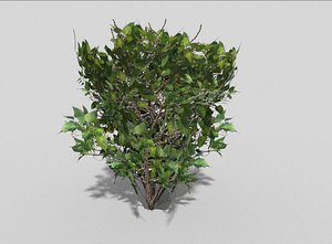 plant games 3d 3ds