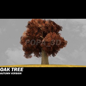 Oak Tree -Autumn version-