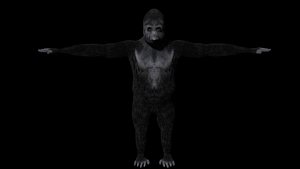 3D development rigged model