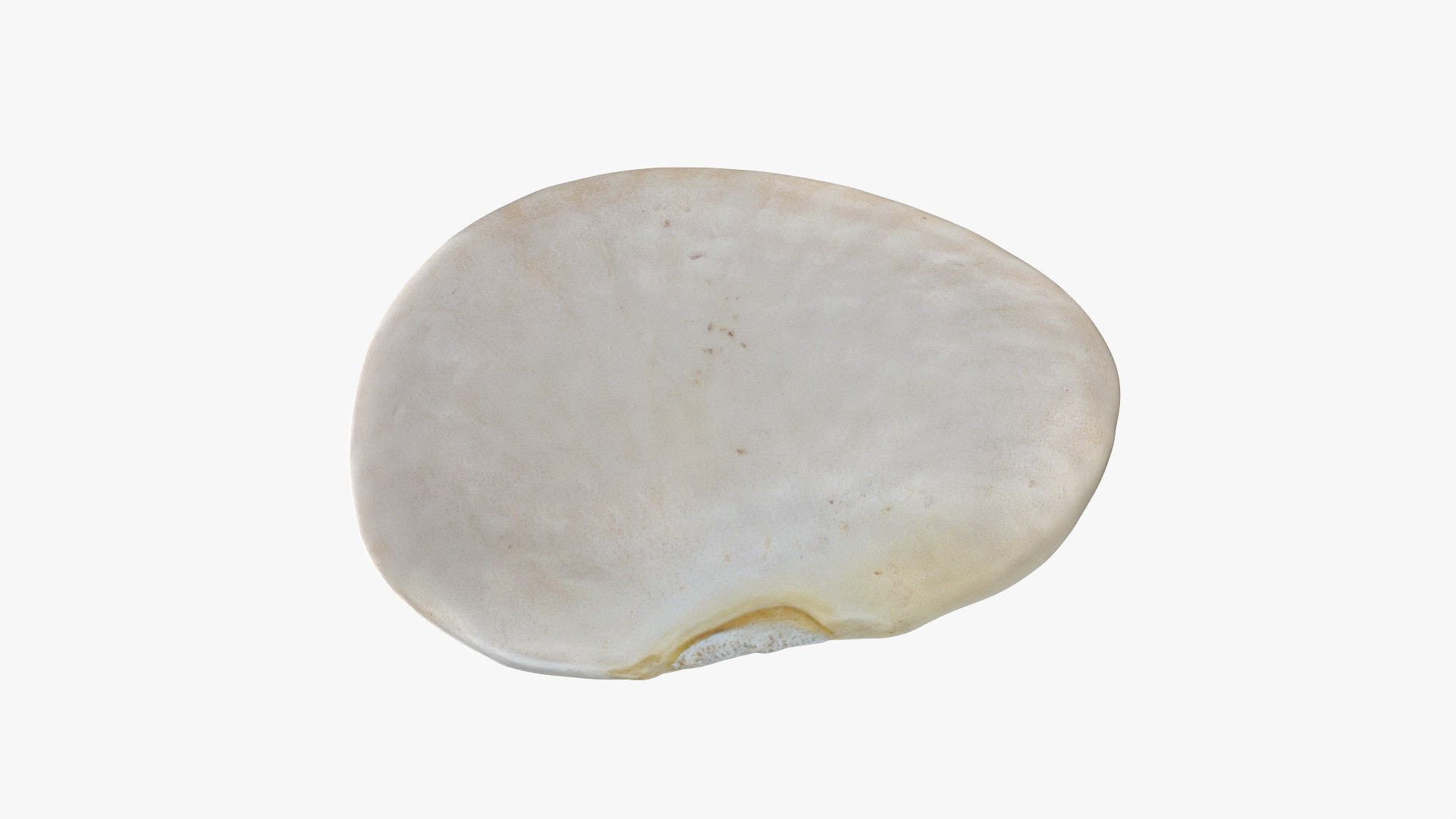Beans - 3D Scanned Collection 3D model https://p.turbosquid.com/ts-thumb/lL/XVtz7q/bi/limabean02_0001/png/1788021247/1920x1080/fit_q87/531488d8da7d3641885e0f1af0f8eb4f0447b2c9/limabean02_0001.jpg