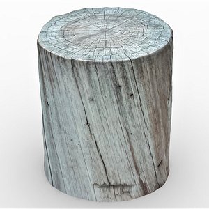 3D tree stump 9 model