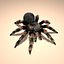mexican redknee tarantula hair fur 3d obj