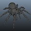 mexican redknee tarantula hair fur 3d obj