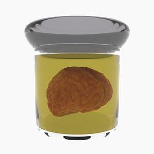 Human Brain In A Jar model