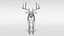 white-tailed deer 3D model