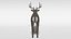 white-tailed deer 3D model