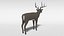 white-tailed deer 3D model