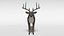 white-tailed deer 3D model