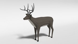 white-tailed deer 3D model