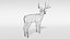 white-tailed deer 3D model