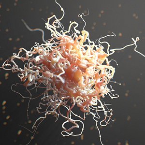 Organic Structure Cell Organism