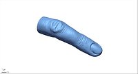Finger