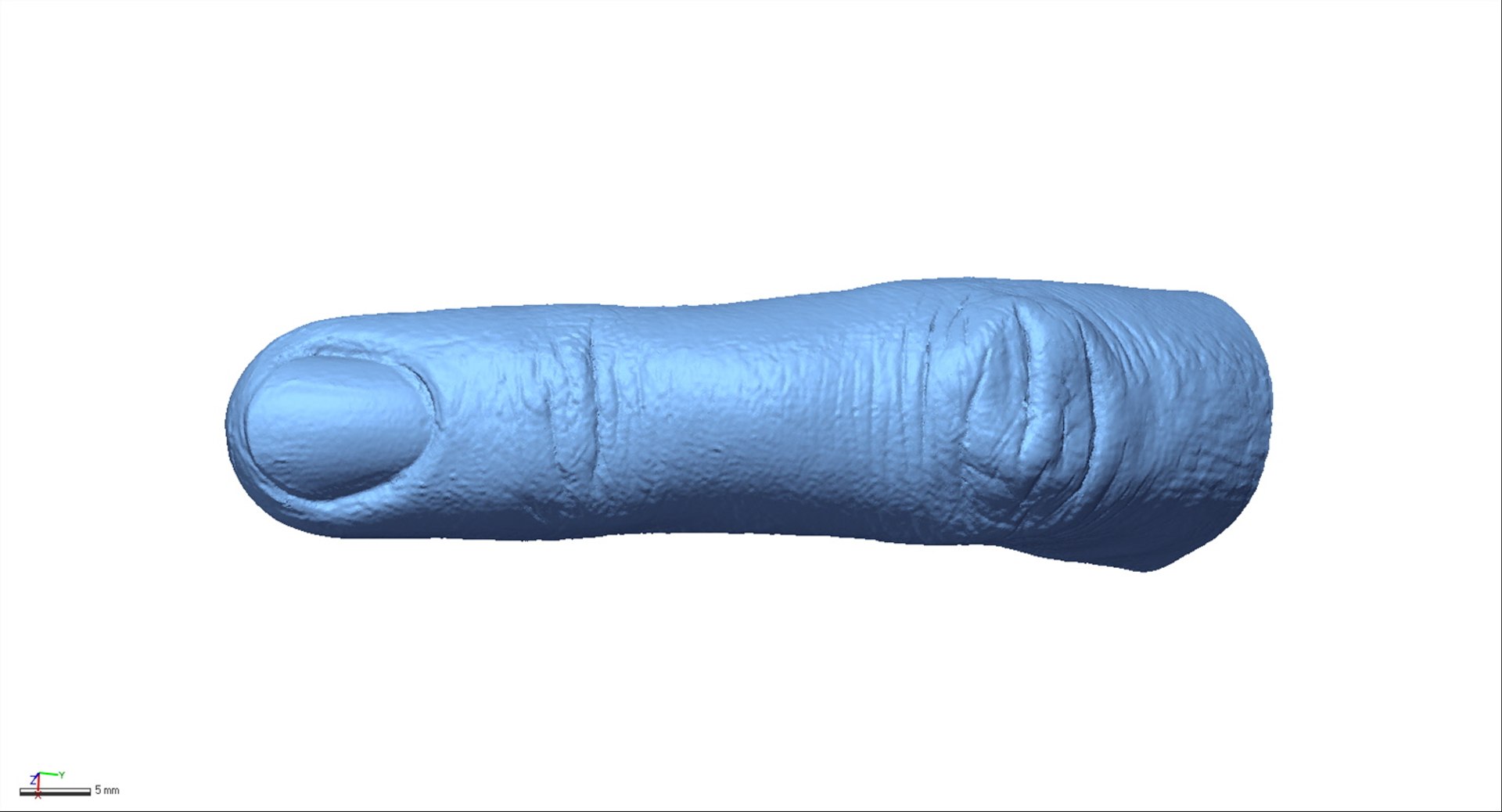 3D body parts model https://p.turbosquid.com/ts-thumb/lL/rCRcht/T6g81e0u/finger5/jpg/1520431241/1920x1080/fit_q87/d07e769820f0d04b4b502c37f12df7fd421f7278/finger5.jpg