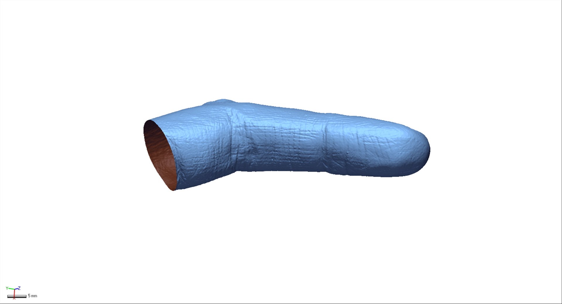 3D body parts model https://p.turbosquid.com/ts-thumb/lL/rCRcht/mhX25jcM/finger2/jpg/1520430071/1920x1080/fit_q87/94950f61bede4a10d029a1bd40e6b6c4e1a18079/finger2.jpg
