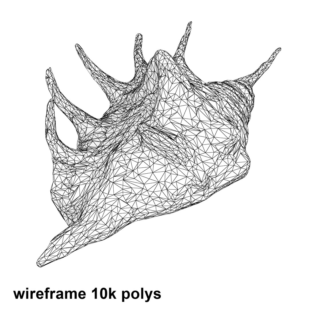 spider conch shell 3d 3ds https://p.turbosquid.com/ts-thumb/lL/vst0Wc/cvZ5uzlc/shell4_r4w_10/jpg/1441142504/1920x1080/fit_q87/3fa2b106a6907918d6d03ef7186f96851a53da98/shell4_r4w_10.jpg